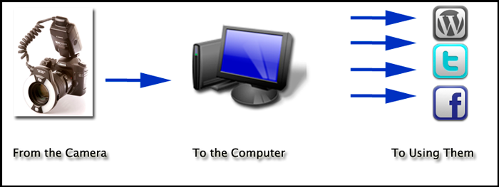 Workflow for dental photography from camera to computer to using them